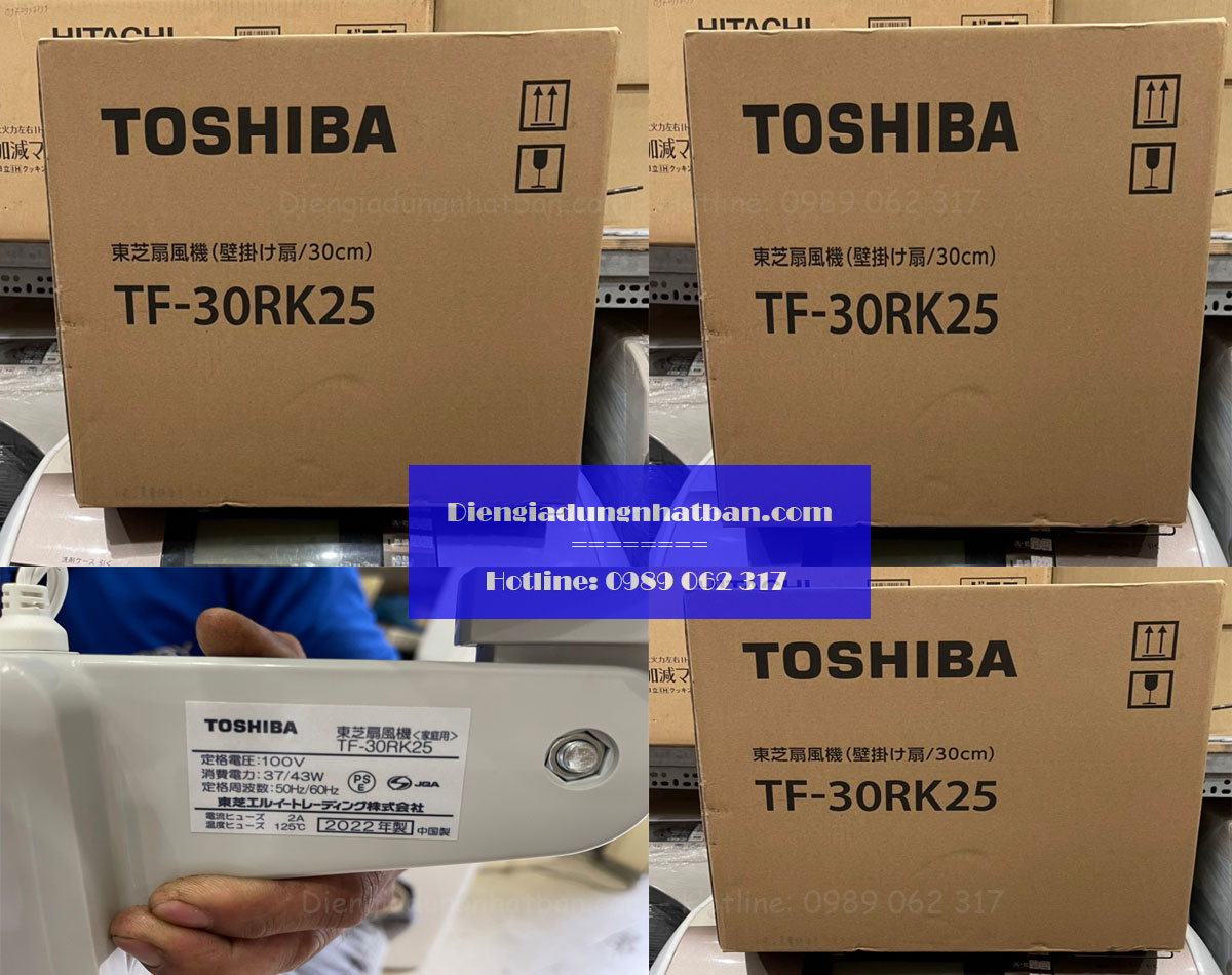Quạt treo tường Nội Địa Nhật Toshiba TF-30RK25 cao cấp
